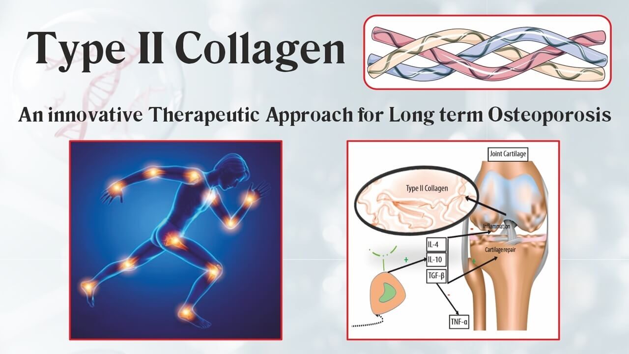 Type II Collagen and its uses