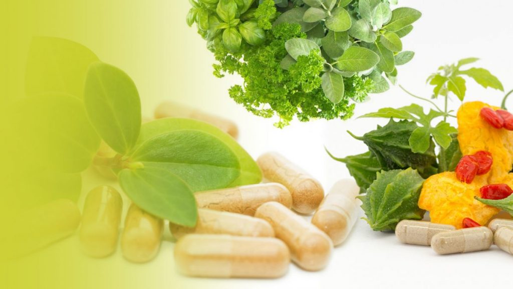 Nutraceuticals Manufacturer –Meet Global Regulatory Standards for Export.